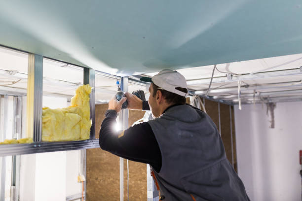 Best Insulation Replacement Services  in Matthews, NC