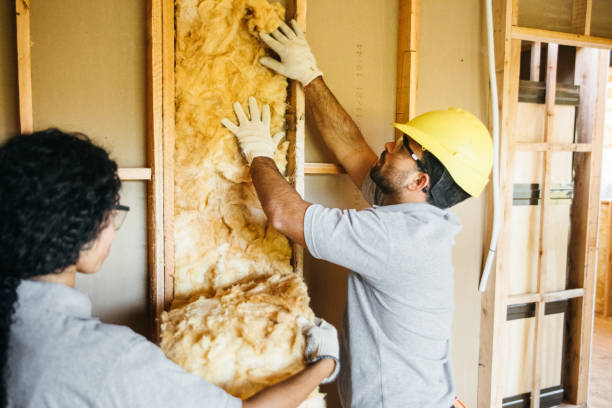 Best Energy-efficient Insulation  in Matthews, NC