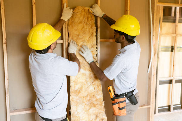 Best Home Insulation Services  in Matthews, NC