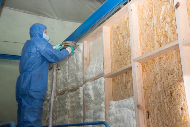Best Local Insulation Services  in Matthews, NC